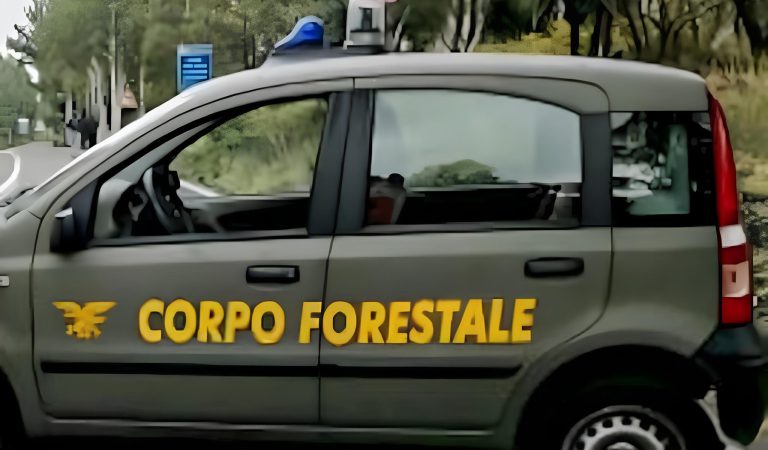 forestali-savarino
