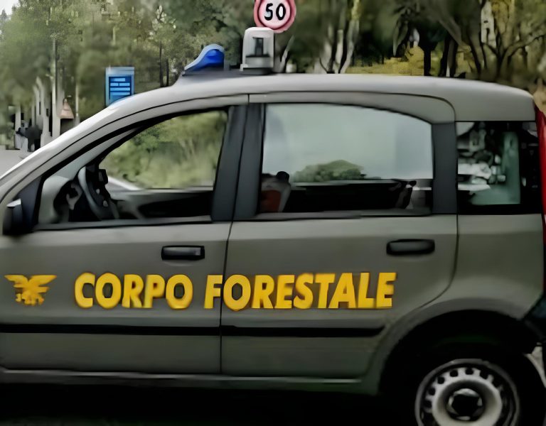 forestali-savarino