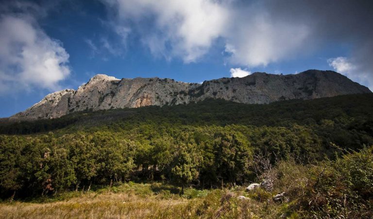 parco-madonie