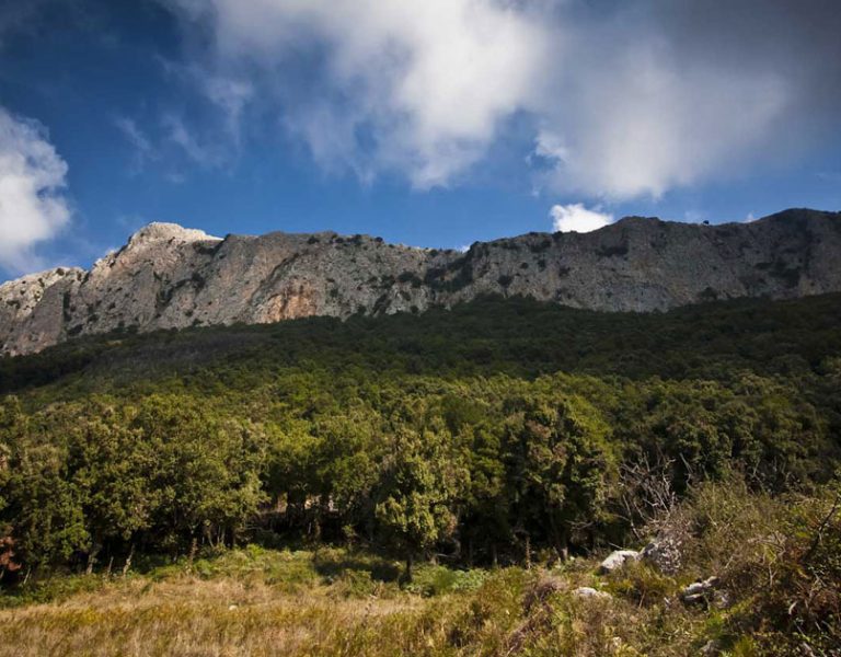 parco-madonie